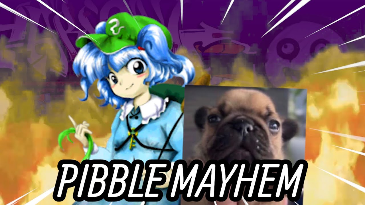 Pibble Mayhem Character Customization